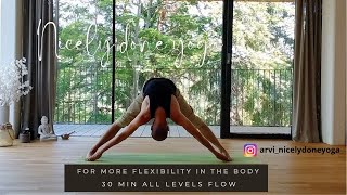 30 Min all levels yoga flow  Nice all levels vinyasa flow for more balance and flexibility [upl. by Iron]