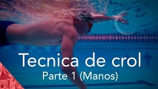 Como nadar crol correctamente Parte 1 Técnica Manos Estilo libre natación [upl. by Fabrienne]