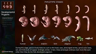 Evolution Smart Biology style 60 sec trailer [upl. by Newo]