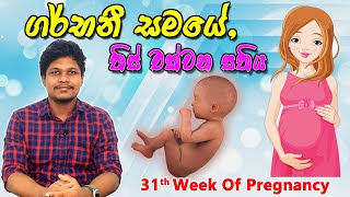 Pregnancy 31st Week  Sinhala Medical Review  අම්මයි බබයි [upl. by Kcirdahs692]