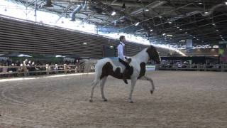 Ghislain Cayla Compagnie Impulsion [upl. by Pierce]