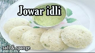 Instant Jowar Idli ज्वार इडली Quick Breakfast Recipe [upl. by Nurat681]