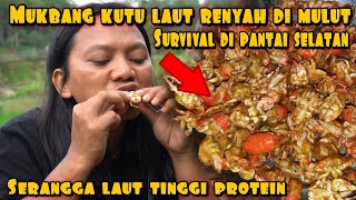 SURVIVAL BERBURU DAN MEMASAK BUYUTUK SERANGGA LAUT [upl. by Silvana]