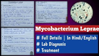 mycobacterium leprae  mycobacterium leprae microbiology [upl. by Keegan35]