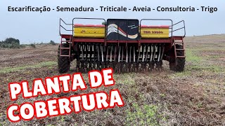 TRITICALE E AVEIA UCRANIANA COBERTURA DO SOLO… [upl. by Tilly]