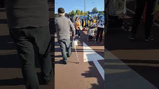 Un caniche blanc guide son propriétaire à travers le marché youtuber subscribedog [upl. by Arihat]