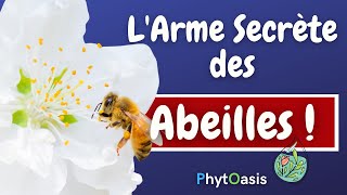 Connaissezvous les 6 Bienfaits de la PROPOLIS [upl. by Filbert]