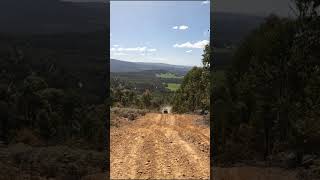 Out amp About in 4x4 at Toolangi State Forest [upl. by Manella309]