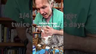 Hairball Remedy for Cats [upl. by Careaga]