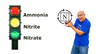 Aquarium Nitrogen Cycle made SIMPLE [upl. by Olraced]