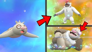 How to Evolve Slakoth into Vigoroth Then into Slaking in Pokemon Scarlet amp Violet DLC [upl. by Werdnael]