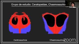 quotCoahuilaceratops el primer dinosaurio reportado de la formación Cerra Huertaquot [upl. by Portia]