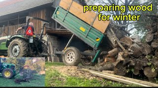 Preparing wood for winter pulling out tree stumps with tractor John deere 6230 seadkadic [upl. by Einhpets]