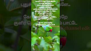 Kodai kala katre songsongtamiltamilsongevergreenhitslyricsillayarajashortsfeedshortsytshort [upl. by Laryssa]