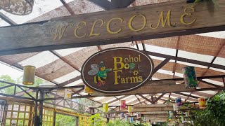 Attention to Details sa Bohol Farms Formerly Bohol Bee Farm [upl. by Hadeis24]