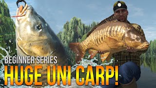 Lvl50 Weeping Willows UNIQUE Carp Method Leads amp More  Fishing Planet [upl. by Ataynik]