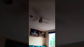 Spinning fast Ceiling fans [upl. by Reinwald]