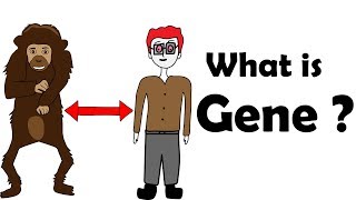 What is a gene [upl. by Adrell]