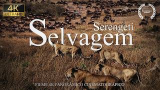 SERENGETI SELVAGEM  Vida Selvagem na Savana Africana  Documentário Animais Selvagens [upl. by Eenwat917]