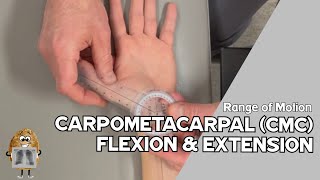 ROM Carpometacarpal CMC Joint I Flexion Extension Range of Motion [upl. by Emelen]