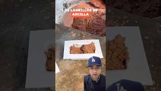 Cómo se fabrican los ladrillos de arcilla 🧱 ladrillos construccion fabricacion [upl. by Kerwin398]