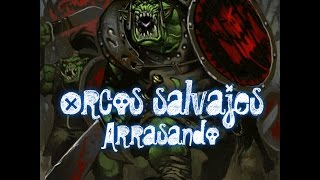 Total War Warhammer  GAMEPLAY CON ORCOS SALVAJES  un día de arrasar [upl. by Kered]