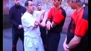 Wing Tsun Leung Ting Tutorial Chi Sao 10 [upl. by Free]