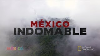 México Indomable Episodio 1 [upl. by Busiek]