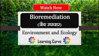 Bioremediation  जैव उपचार  Significance  Types  Advantages  Disadvantages  InSitu  ExSitu [upl. by Ahsinroc]