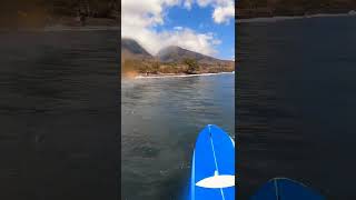 BOARD TRANSFER DECLINED 2024 surf gopro water waves hawaii beach STOKEDUS Fun surfboard [upl. by Gerard]