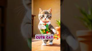 Cat Dance🎉🐾💓shorts cat catvideos catdance [upl. by Kiel982]