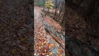 landslide took the shoulder of Roseboro road chiefsholsters helene helendamage hiking wnc [upl. by Brick958]