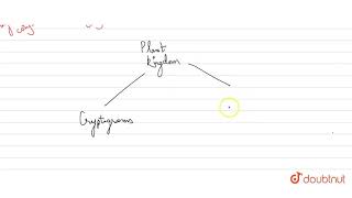 Monocotyledonous and dicotyledonous are two groups present in [upl. by Felic]