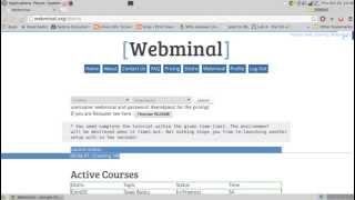 Webminal VM screencasting [upl. by Ecnirp478]