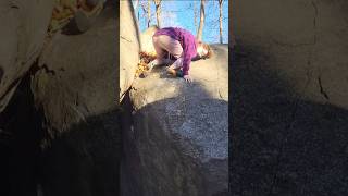 Clown Town V4  Haycock Bouldering [upl. by Melton106]