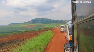 The beautiful landscape of Lugazi sugar plantations [upl. by Melena]