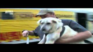 Animal Planet HD  Adverts  2011 [upl. by Eitsud135]