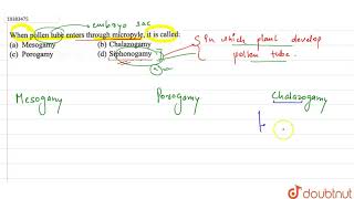 When pollen tube enters through micropyle it is called [upl. by Mcmahon]