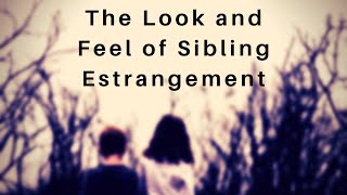 The Look and Feel of Sibling Estrangement [upl. by Terrence592]