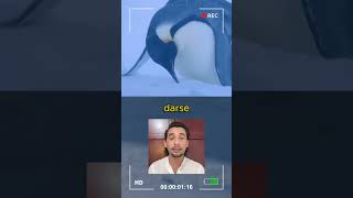 Fotografos hacen empatia por los pingüinos 🥳🤯lasmascotasdeadri pinguinos animales historiareal [upl. by Enrak395]