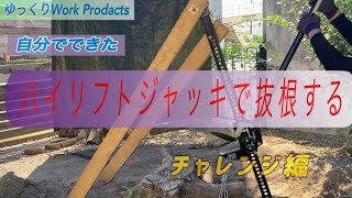 DIY切り株の抜根 自分でできた 大きい切り株にチャレンジ編 [upl. by Okimat]