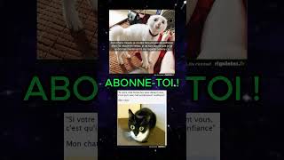 TAS RI ABONNE TOI 😂 all memes random pourtoi funny humour abonnetoi viral video shorts [upl. by Breban]