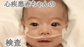 【心臓エコー】手術痕あり閲覧注意口腔内清掃赤ちゃんの感受性 [upl. by Nowujalo608]