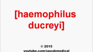 Pronounce Haemophilus ducreyi  SpeakMedical [upl. by Wenona864]