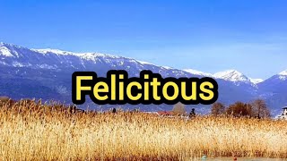 Felicitous Definition amp Meaning [upl. by Essej]