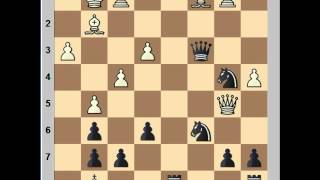 Instructive Slav Defense Game Carlsen vs Gelfand [upl. by Airotahs592]