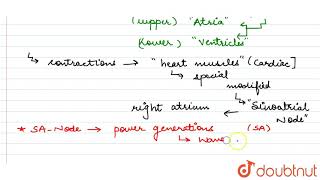 Why do we call our heart myogenic  11  BODY FLUIDS AND CIRCULATION  BIOLOGY  NCERT  Doubt [upl. by Cirdek]