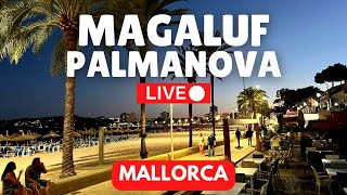 🔴 LIVE Palmanova amp Magaluf Majorca Mallorca  16 September 2023 [upl. by Lightfoot]