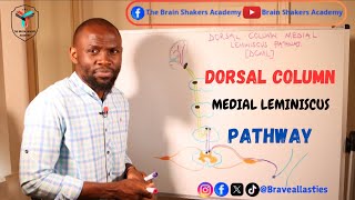 The DORSAL COLUMN and MEDIAL LEMINISCUS PATHWAY [upl. by Aerdnaek608]