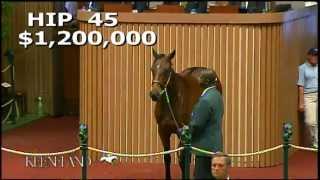 Hip 45  2012 September Yearling Sale [upl. by Kalila]